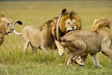 丹麦暗黑破坏神风游戏厂商获SE青睐 注资助力开发